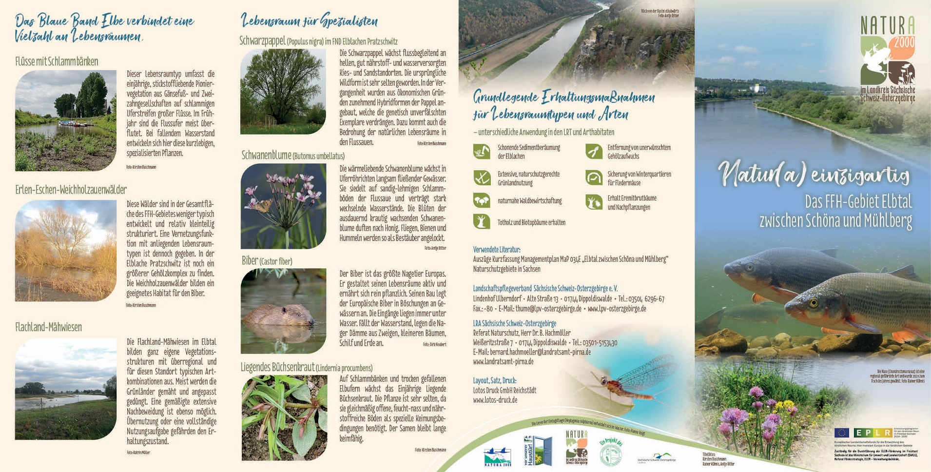 tl_files/downloads/Bilder Projekte/Projektstellen/Natura 2000 2.0/Flyer/Gebietsflyer_Elbtal_1.jpg